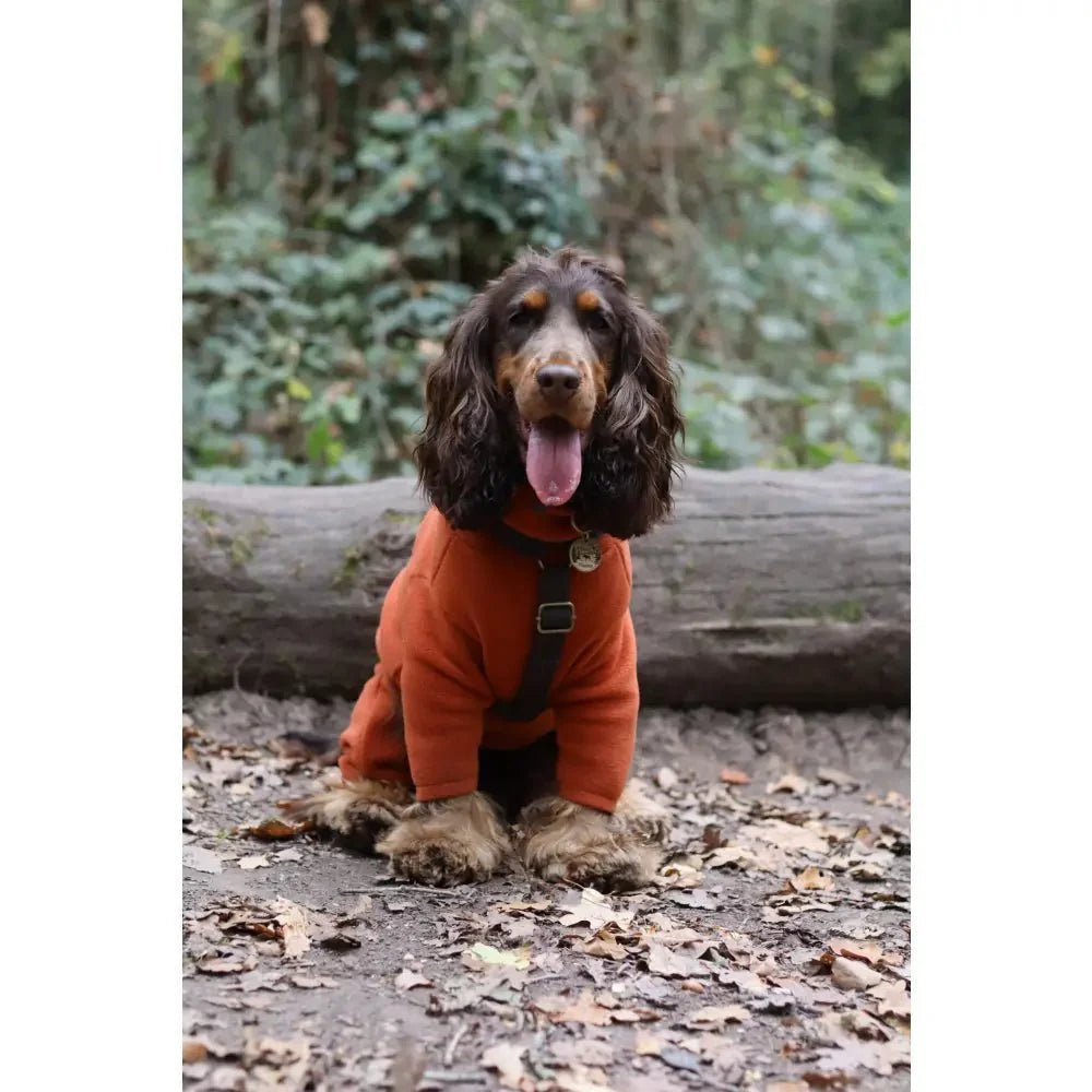 Padded Strap Waterproof Step-In Dog Harness