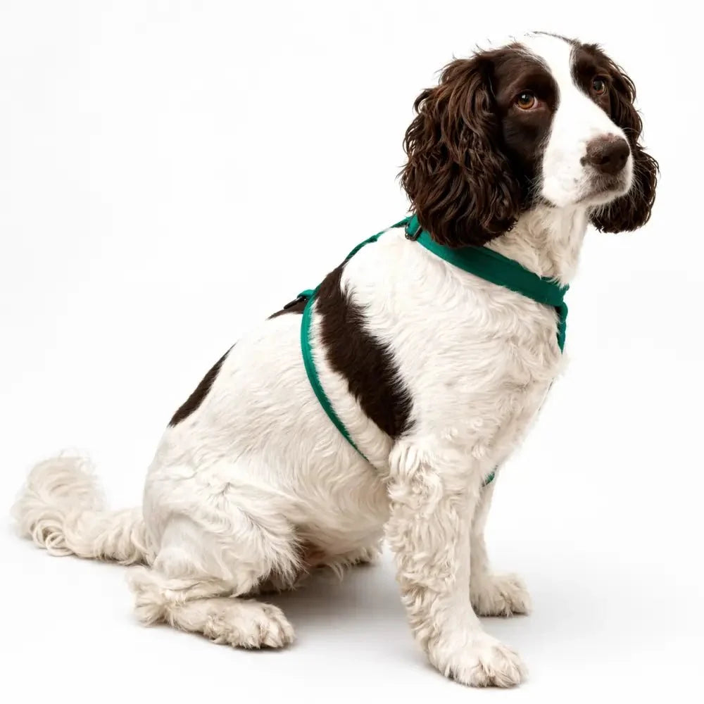 Padded Strap Waterproof Step-In Dog Harness