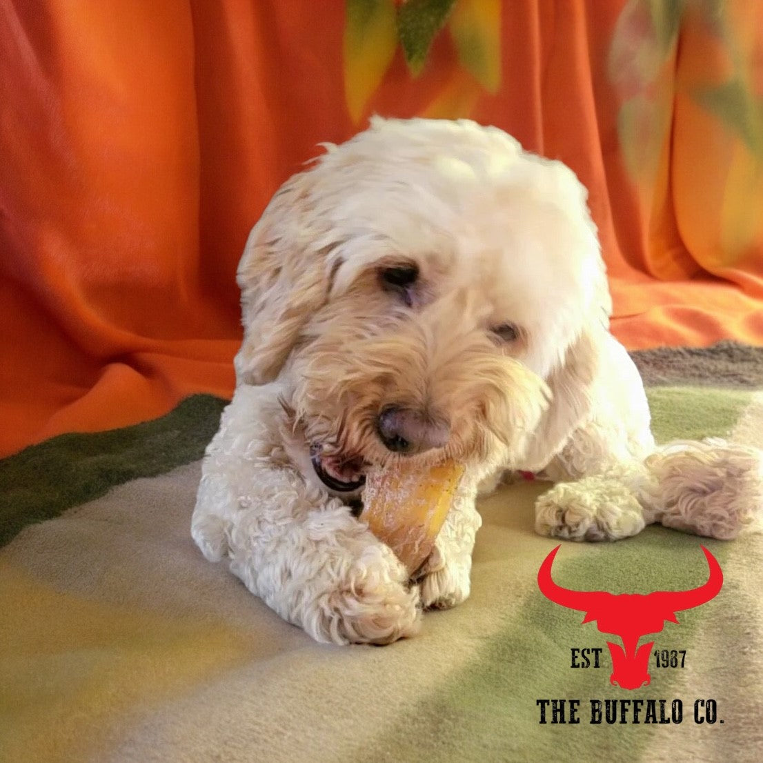 Buffalo Paddywack Dog Treats – 1kg