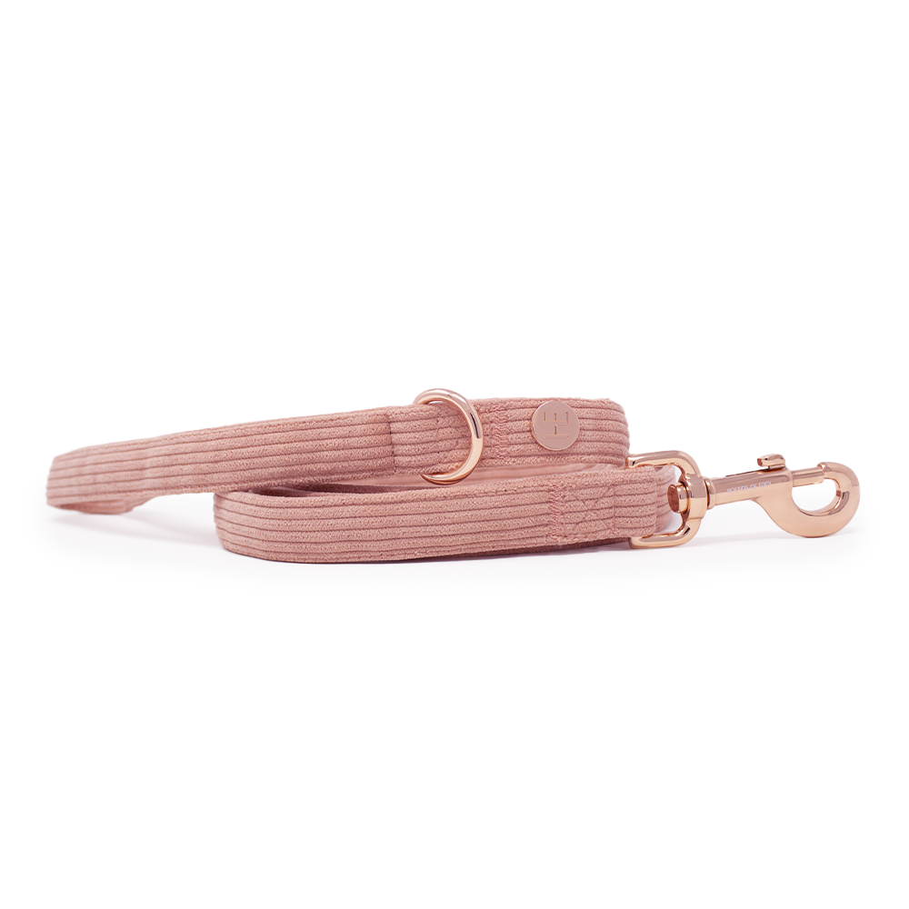 Peach Schnapps - Pink Corduroy Collar