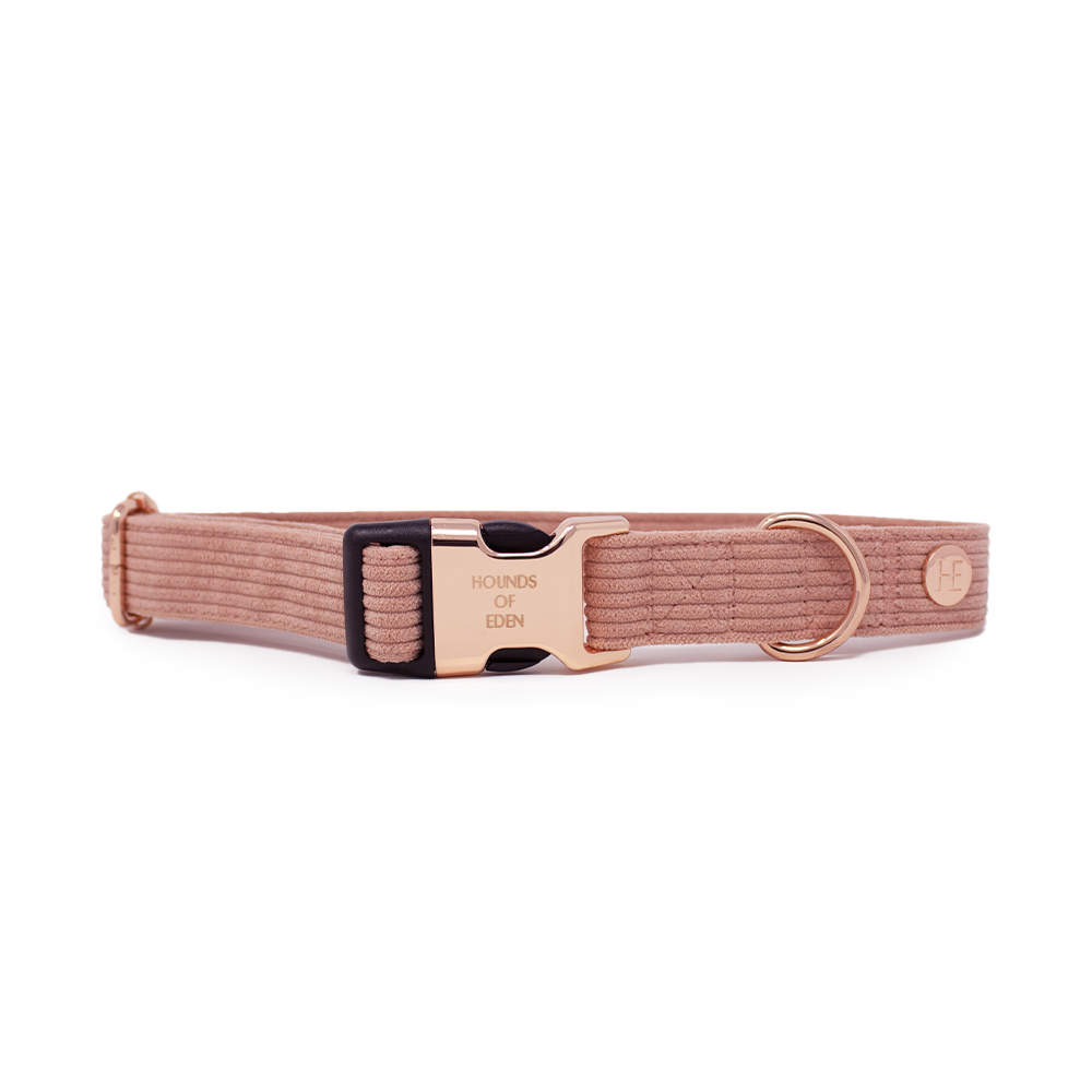 Peach Schnapps - Pink Corduroy Collar