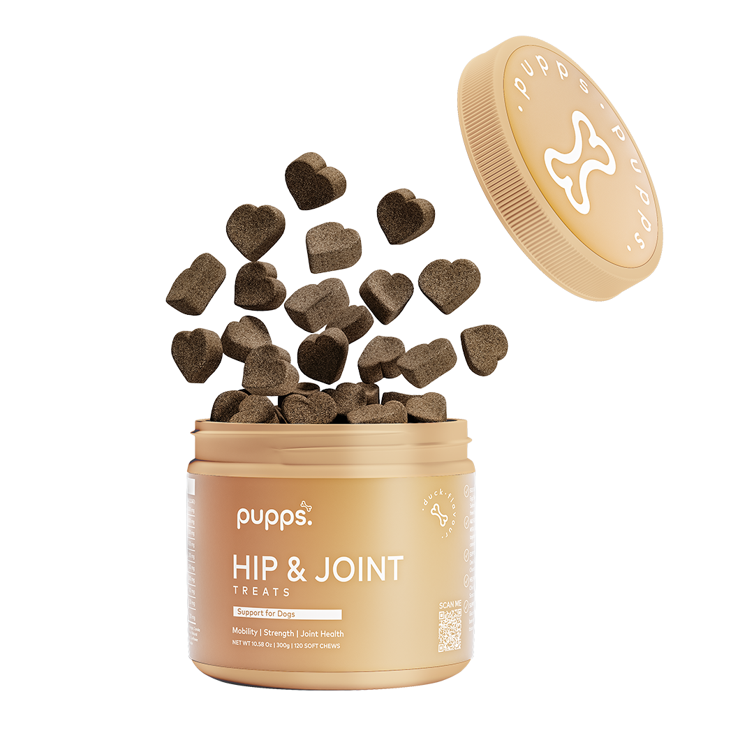 Pupps Hip & Joint Treats for Dogs