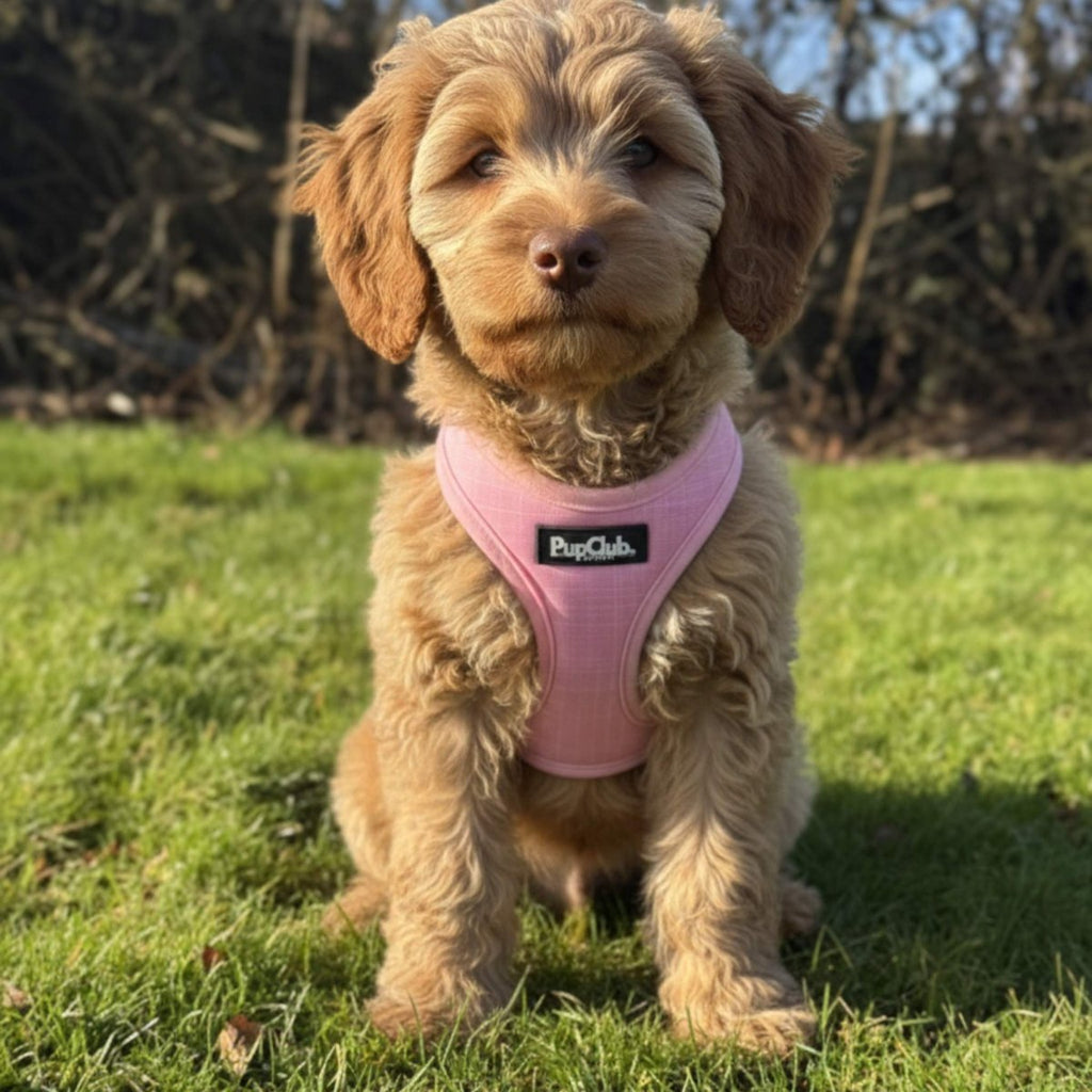 Pink Puppy Step-In Harness