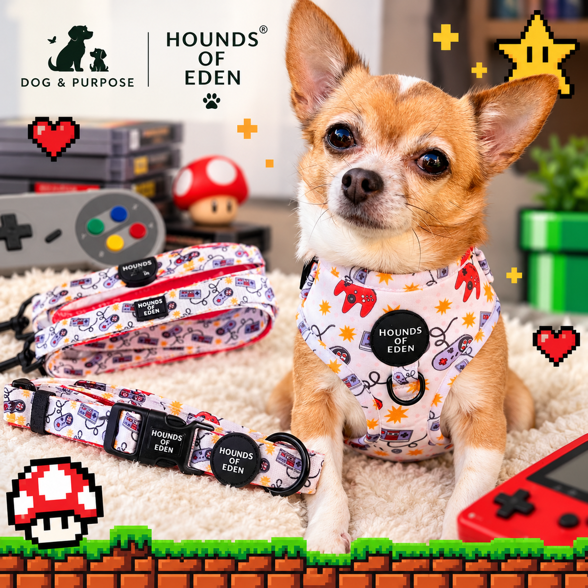 Nintendawg Design Dog Collar