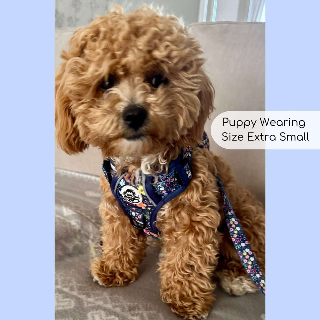 Rugged Rover™ Summer Meadow Dog Harness