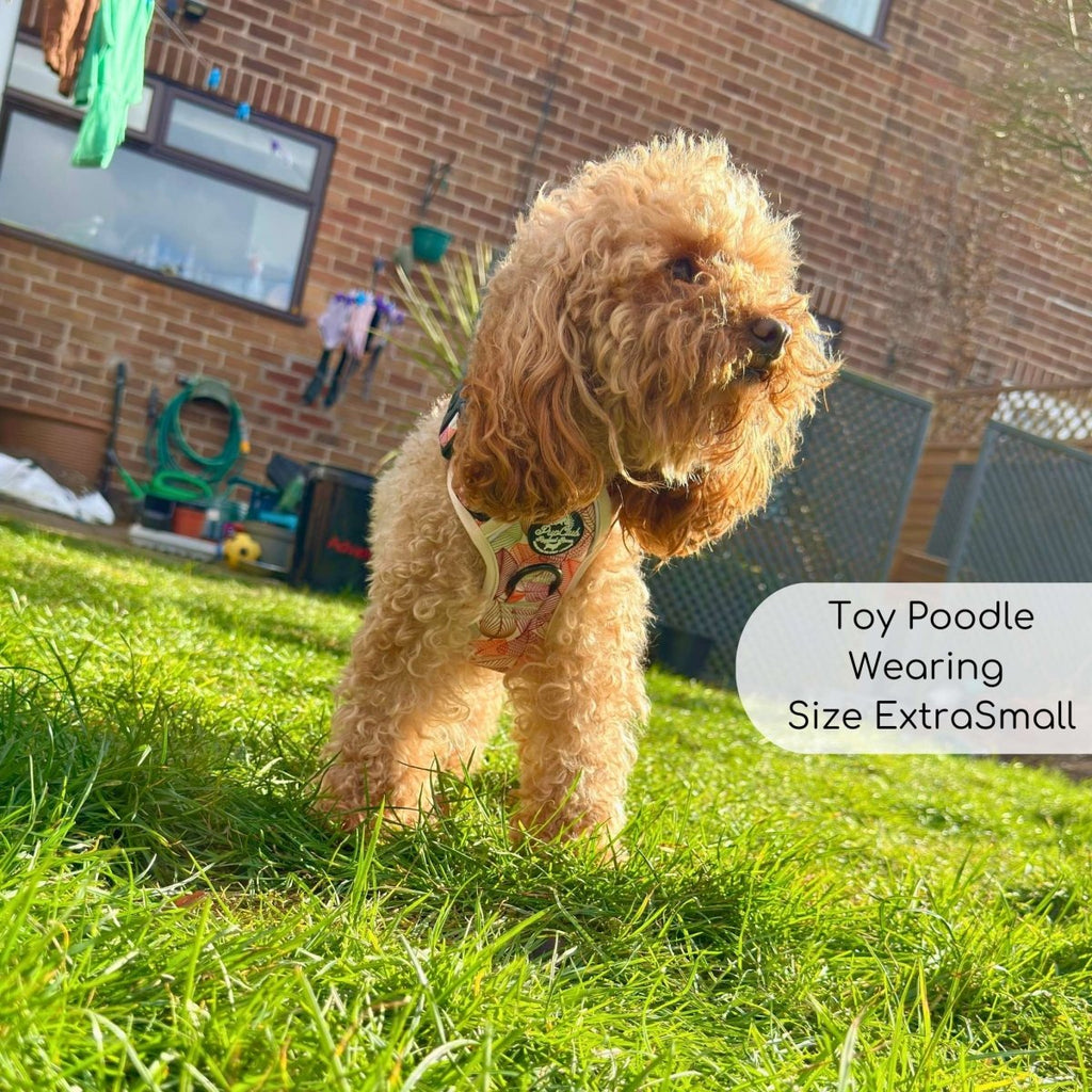 Autumn Breeze Rugged Rover™ Dog Harness – PupClub Couture