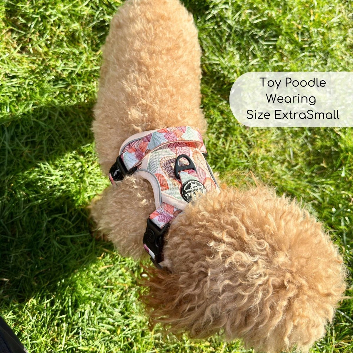 Autumn Breeze Rugged Rover™ Dog Harness – PupClub Couture