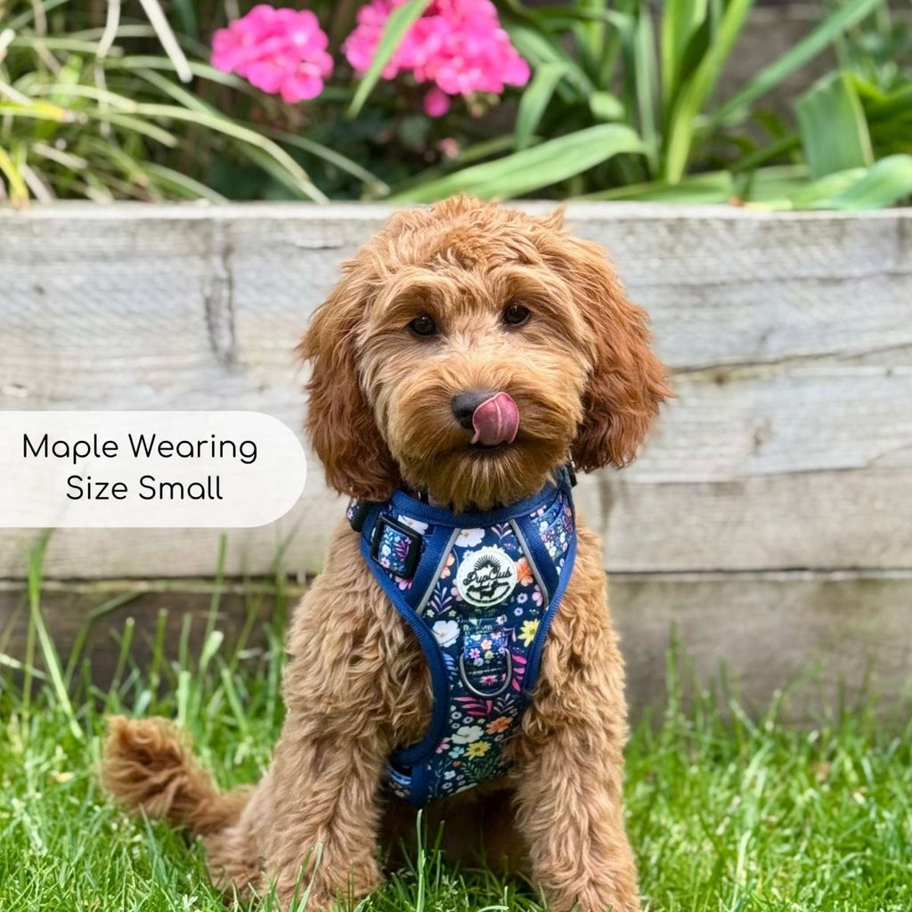 Rugged Rover™ Summer Meadow Dog Harness