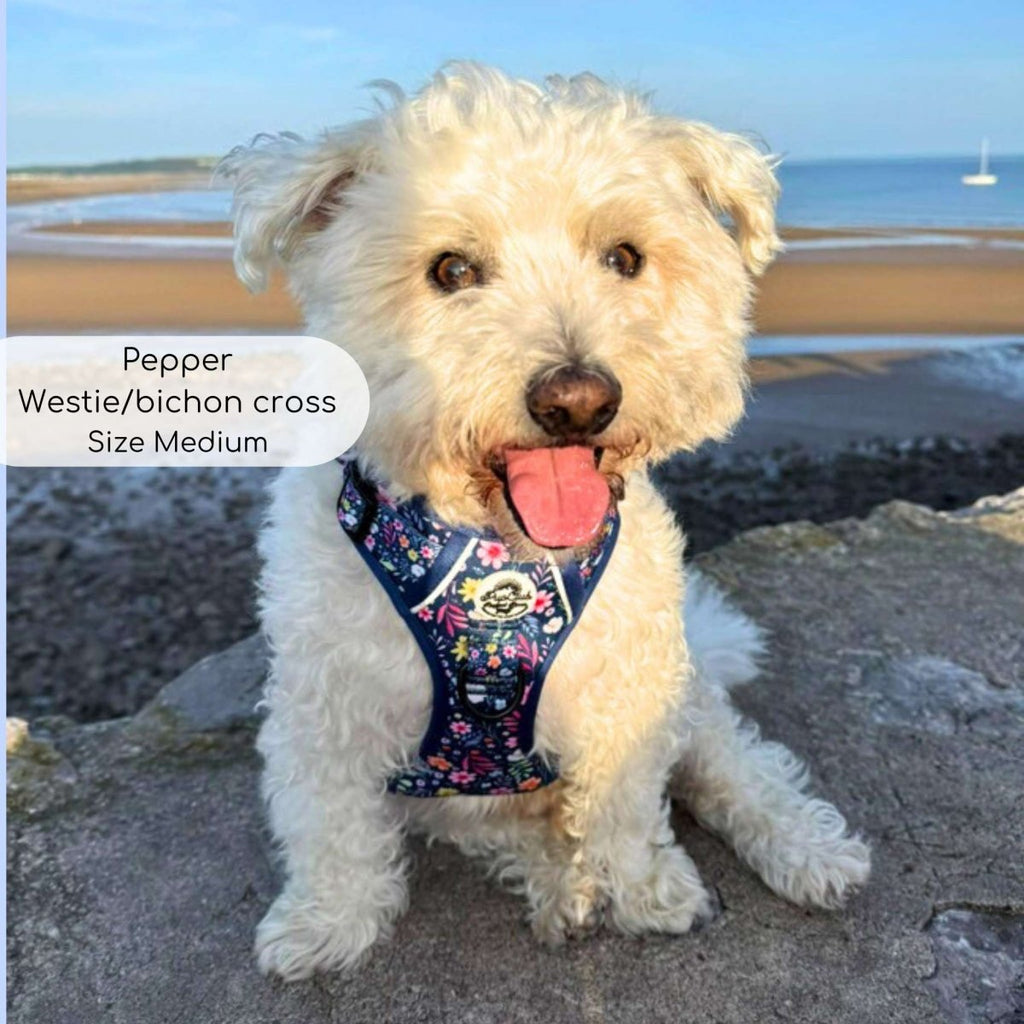 Rugged Rover™ Summer Meadow Dog Harness