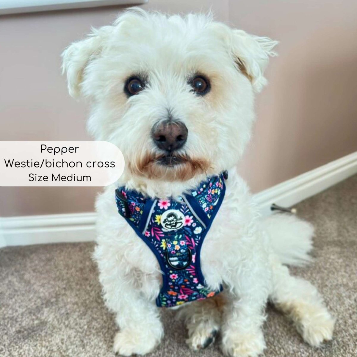 Rugged Rover™ Summer Meadow Dog Harness