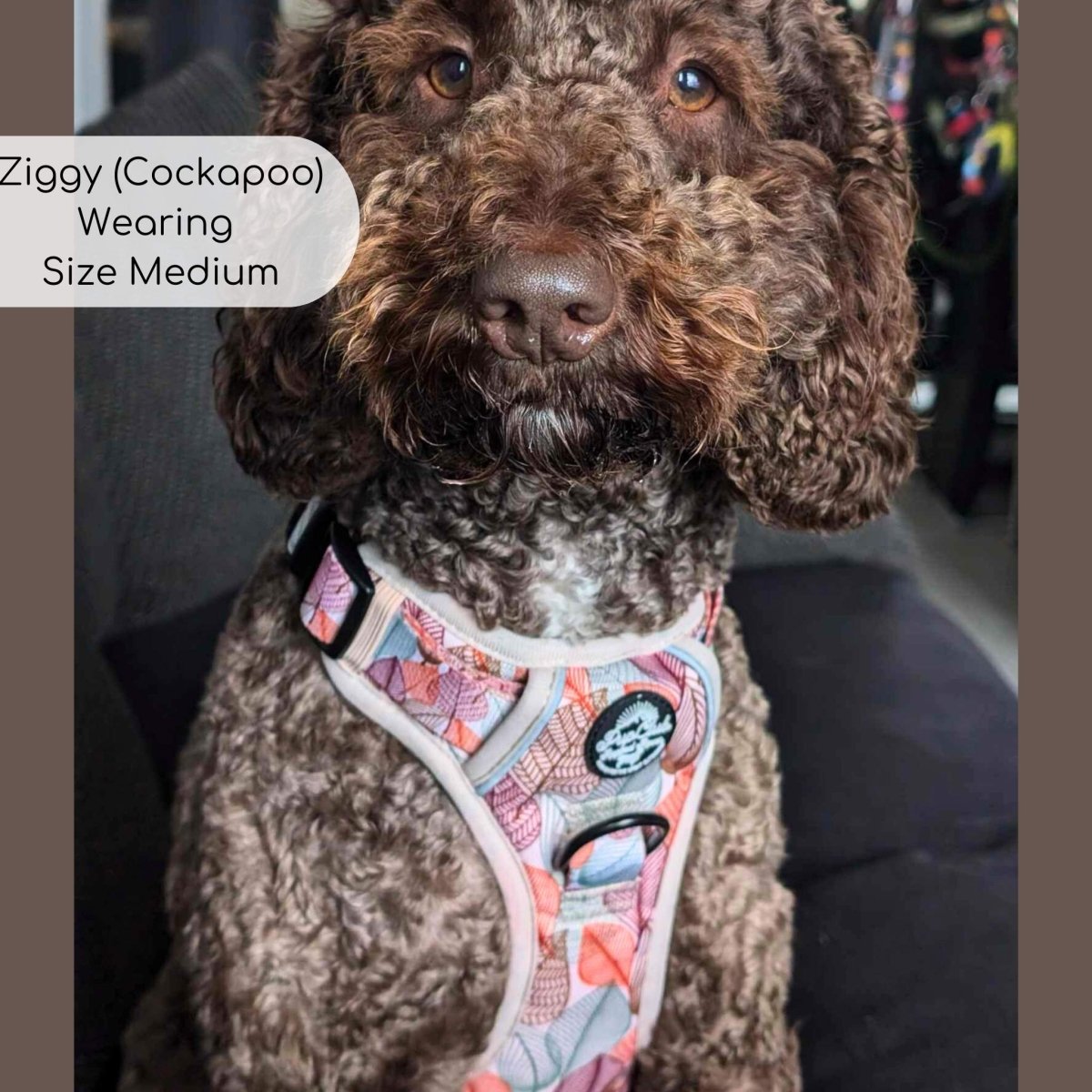 Autumn Breeze Rugged Rover™ Dog Harness – PupClub Couture