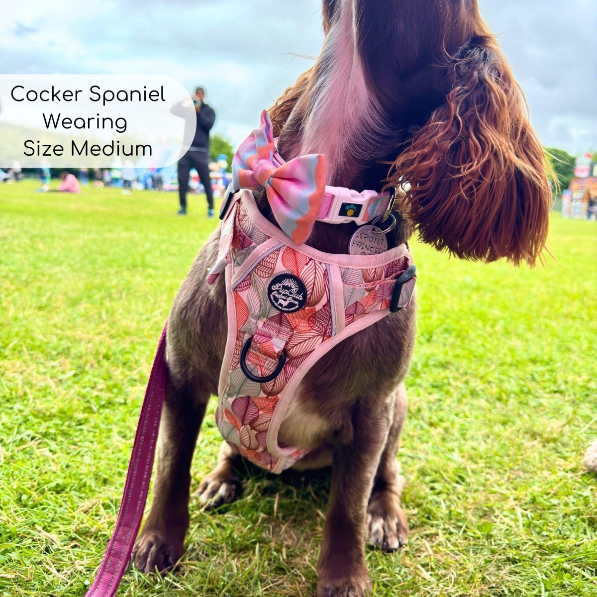 Autumn Breeze Rugged Rover™ Dog Harness – PupClub Couture