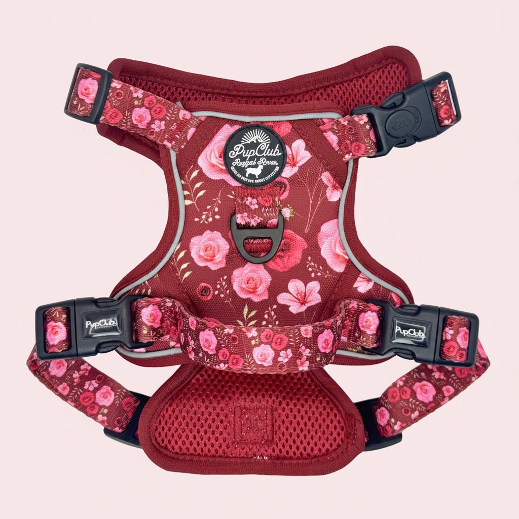 Rugged Rover™ Adjustable No-Pull Dog Harness – Burgundy Bloom