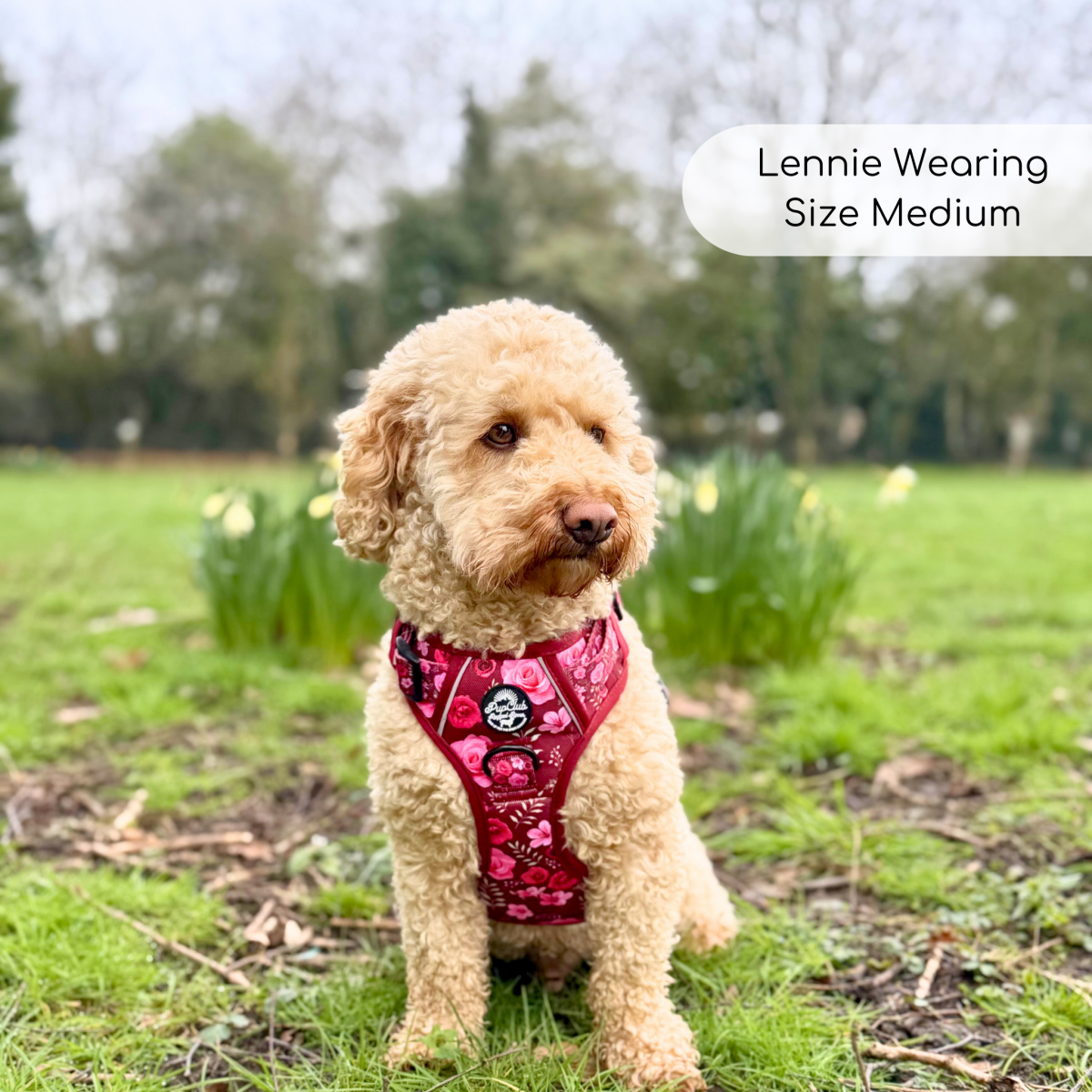 Rugged Rover™ Adjustable No-Pull Dog Harness – Burgundy Bloom