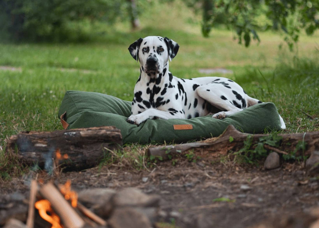 The Richmond Luxury Dog Bed – Forest Green
