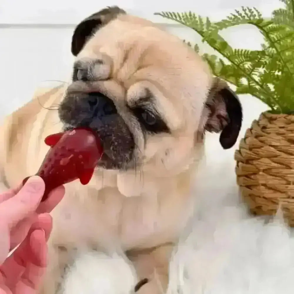 Strawberry & Banana Dolphin Dog Chew