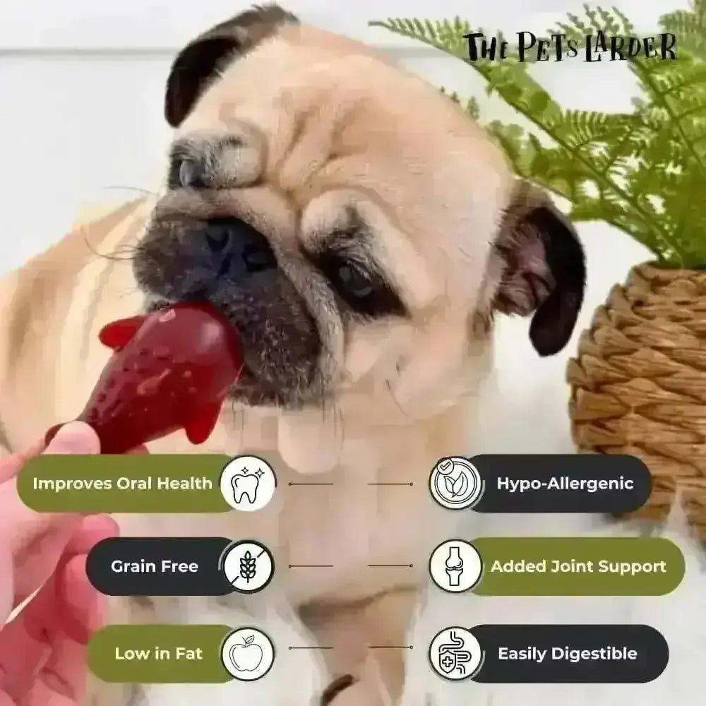Strawberry & Banana Dolphin Dog Chew