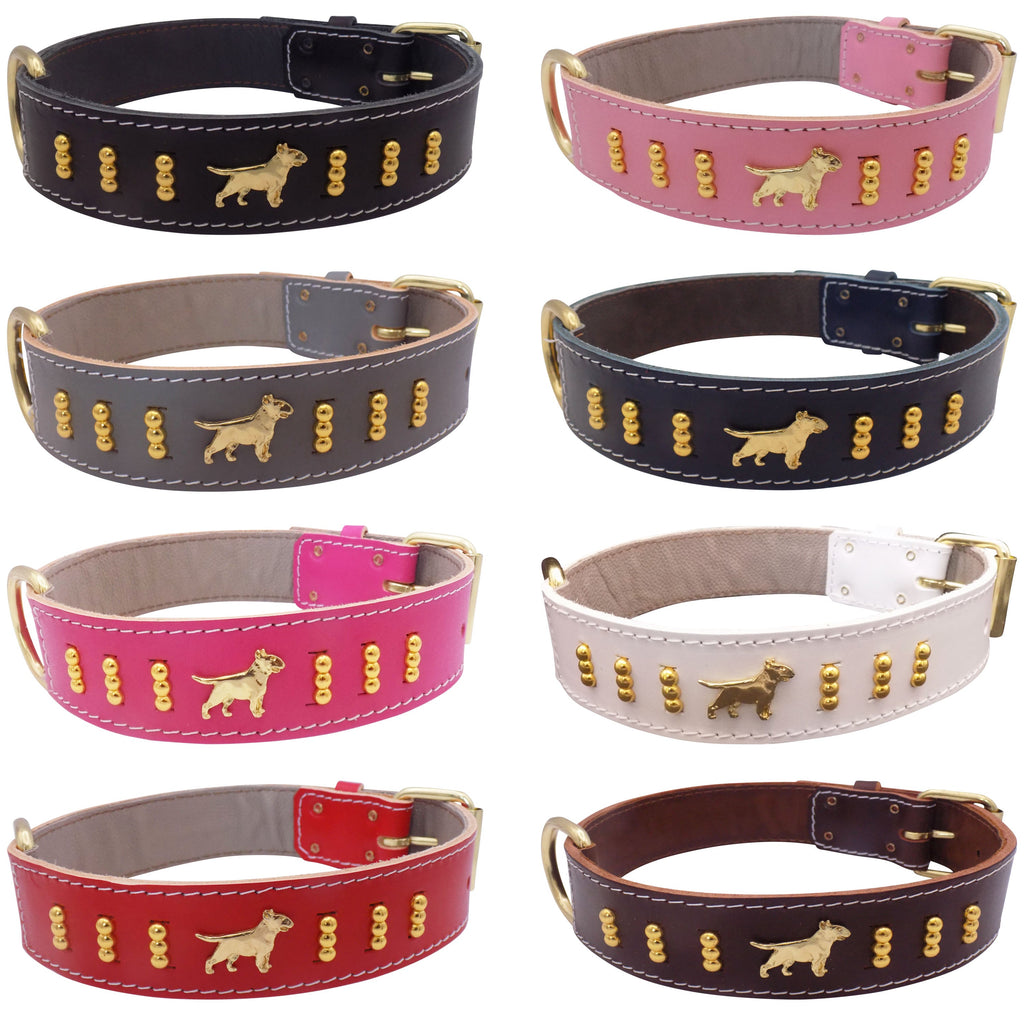 Leather Dog Collar with Gold-Coloured Design & Bull Terrier Badges