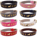 Leather Dog Collar with Gold-Coloured Design & Bull Terrier Badges