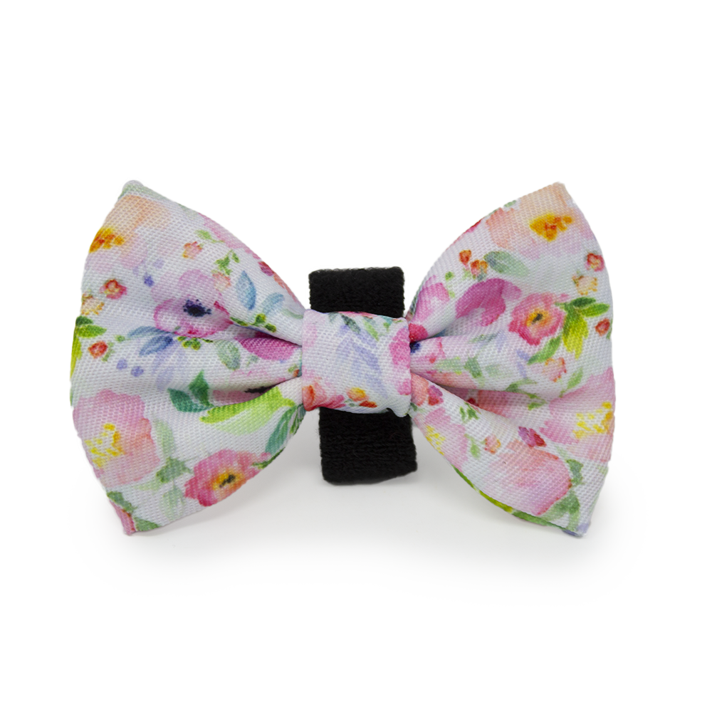 Ziggy's Secret Garden Design Dog Collar