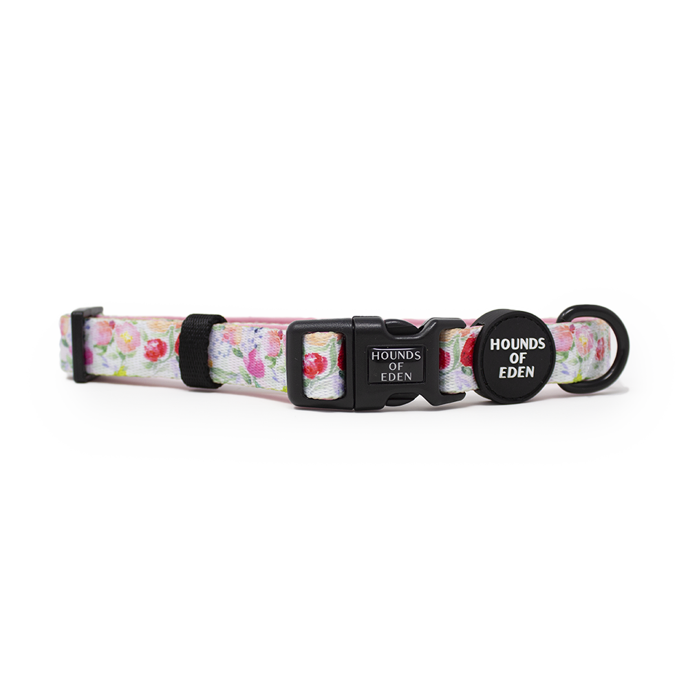 Ziggy's Secret Garden Design Dog Collar