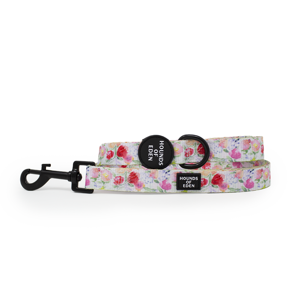 Ziggy's Secret Garden Design Dog Harness