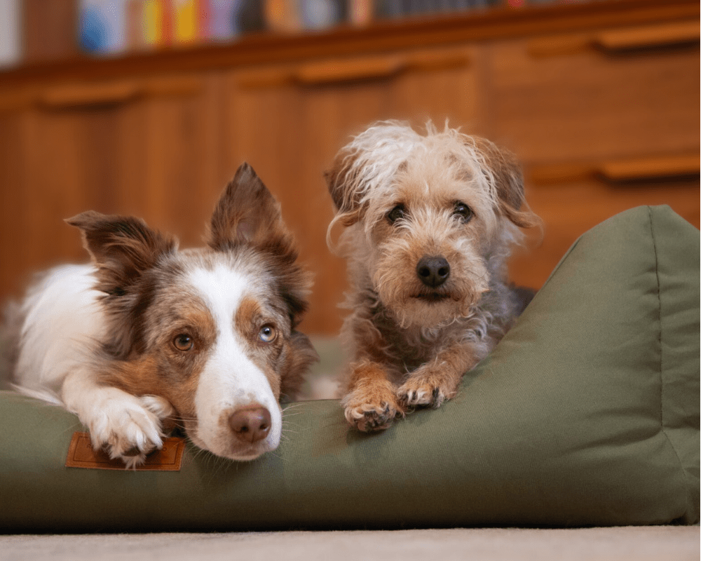 The Henley Waterproof Bolster Dog Bed