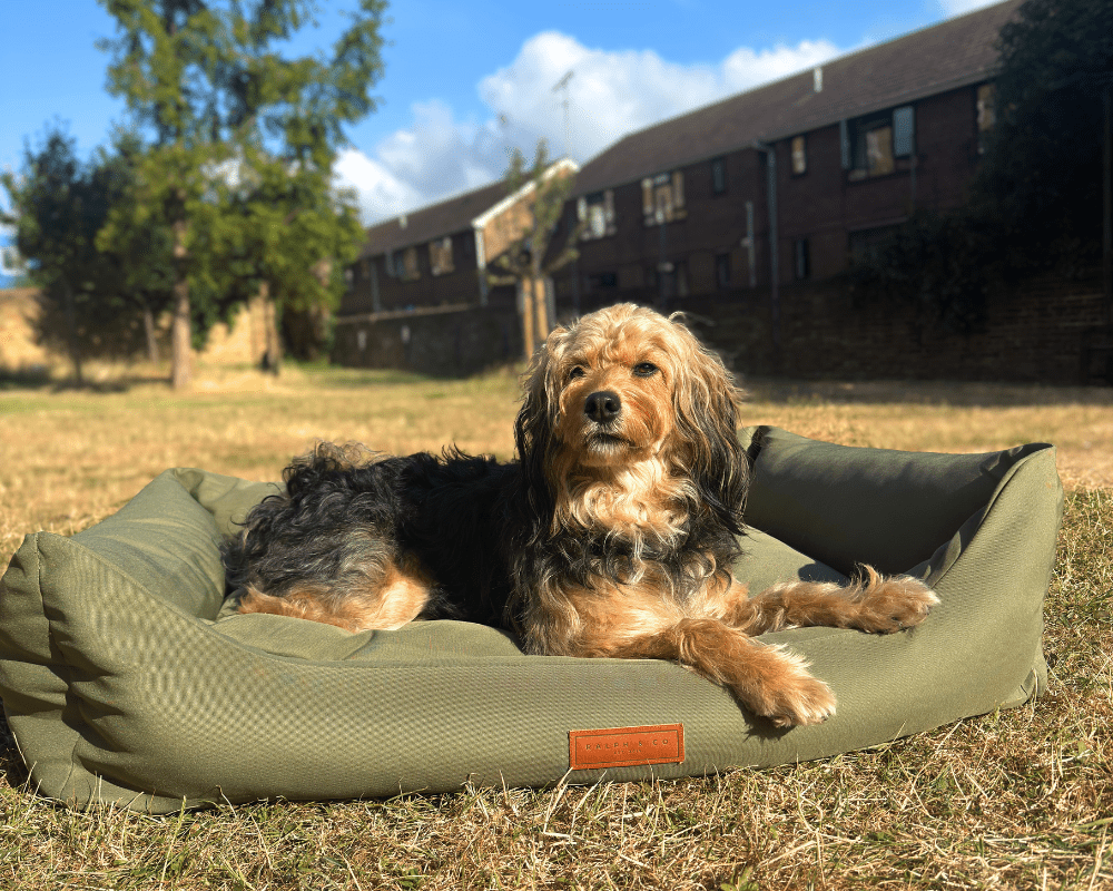 The Henley Waterproof Bolster Dog Bed