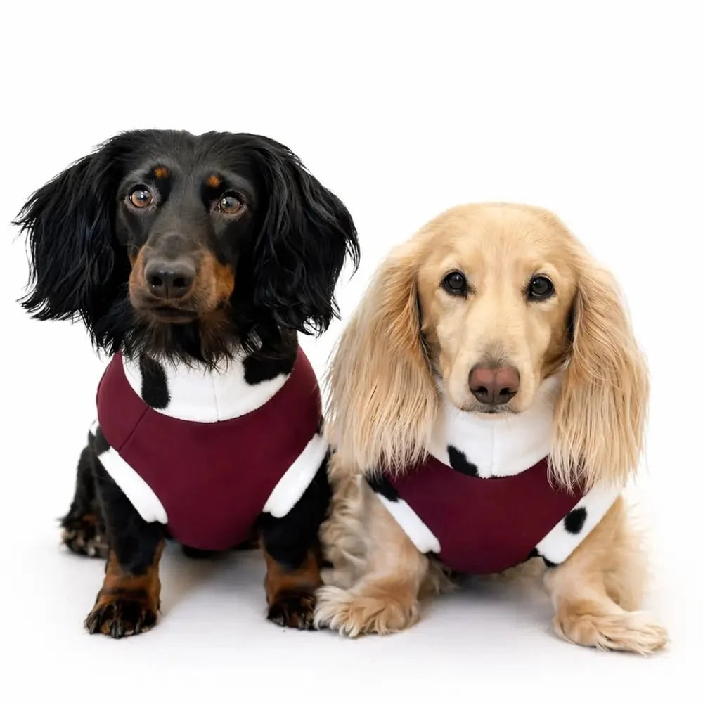 Hugo & Ted Waterproof Rainfleece Dog Coat – Fleece Lined